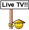 Livetv
